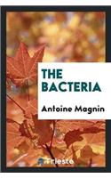 The Bacteria