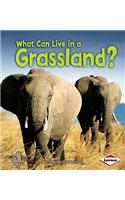 What Can Live in a Grassland?