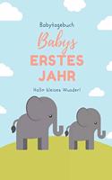 Babytagebuch Babys Erstes Jahr Hallo Kleines Wunder