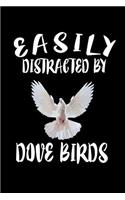 Easily Distracted By Dove Birds: Animal Nature Collection