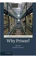 Why Prison?