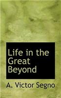 Life in the Great Beyond