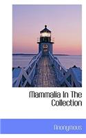 Mammalia in the Collection