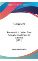 Gelautert: Freuden Und Leiden Eines Schwabenmadchens In Amerika (1891)