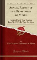 Annual Report of the Department of Mines: For the Fiscal Year Ending June 30, 1919; In Two Sections (Classic Reprint)