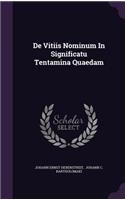 de Vitiis Nominum in Significatu Tentamina Quaedam