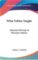 What Veblen Taught
