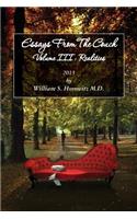 Essays From The Couch Volume III: Realities 2013: Essays from the couch(Essays from the Couch)