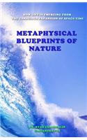 Metaphysical Blueprints of Nature