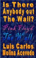 Is There Anybody Out The Wall?