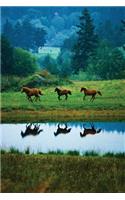 Horse Reflections Any Day Planner Notebook