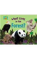 What Lives in the Forest?: (Animal Habitats)