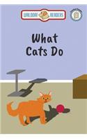 What Cats Do