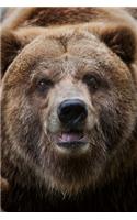 Bear Lovers Gift For Girls, Boys, Women & Men