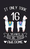 It Only Took 16 Years to be this Awesome