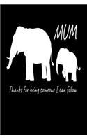 Thanks I Can Follow Mum