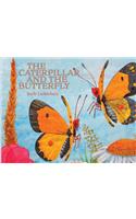 Caterpillar and the Butterfly