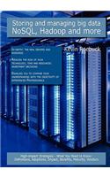 Storing and Managing Big Data - Nosql, Hadoop and More: High-Impact Strategies - What You Need to Know: Definitions, Adoptions, Impact, Benefits, Maturity, Vendors