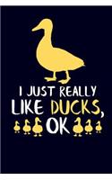 I Just Really Like Ducks, Ok