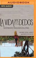La Vida Entre MIS Dedos: Sentimientos Traducidos En Letras