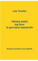 Tekstoj antaŭ kaj dum la germana katastrofo