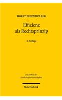 Effizienz als Rechtsprinzip