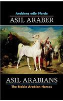 Asil Arabians