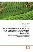 Morphogenetic Study of Tea Genotypes Grown in Pakistan