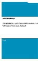 Das Affektbild Nach Gilles Deleuze Und 