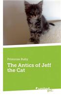The Antics of Jeff the Cat