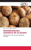 Deshidratacion osmotica de la jicama