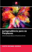 Jurisprudência para os Perplexos