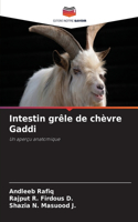 Intestin grêle de chèvre Gaddi