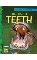 Designed to Survive: All About Teeth