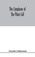 The cytoplasm of the plant cell