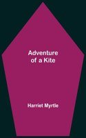 Adventure of a Kite
