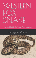 Western Fox Snake