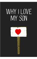Why I Love My Son ?