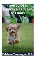 Your Guide to Medical Marijuana for Dogs