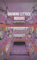 Growing Lettuce Indoors: The Ultimate Beginners Guide to Building a Hydroponic System