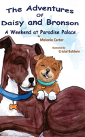 Adventures of Daisy and Bronson