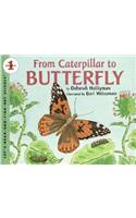 From Caterpillar to Butterfly