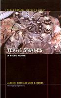 Texas Snakes