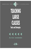 Teaching Large Classes