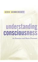 Understanding Consciousness