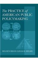 The Practice of American Public Policymaking