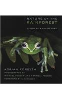 Nature of the Rainforest
