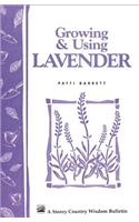 Growing & Using Lavender