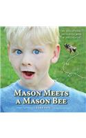 Mason Meets a Mason Bee