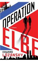 Operation Elbe